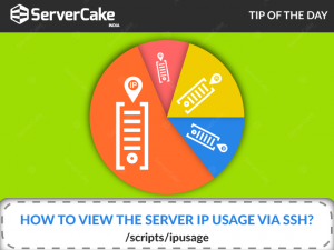 Server IP usage
