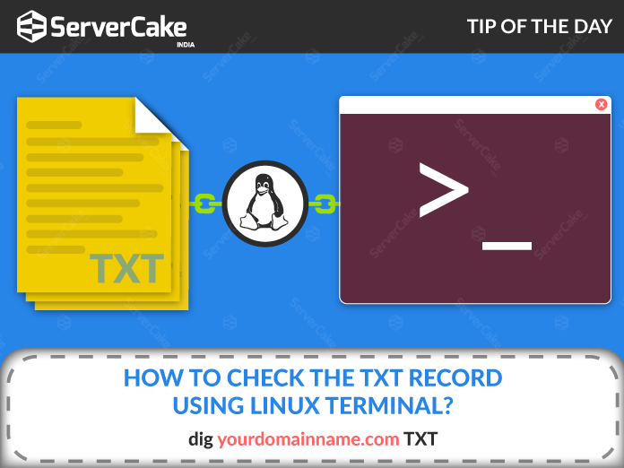 TXT Record Linux Terminal