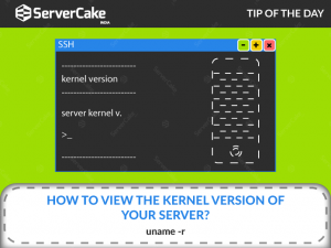 kernel Version