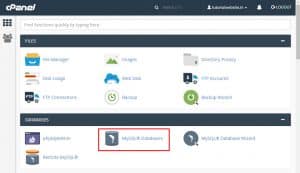 Select the option MySQL database