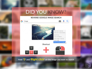 Reverse Google Image Search