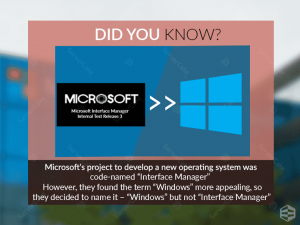 Microsoft Interface Manager