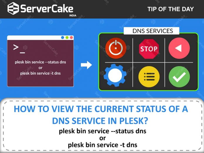DNS SERVICE