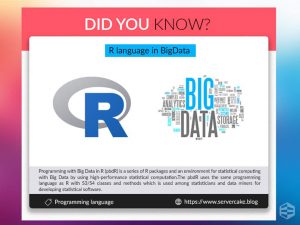 R language in BigData