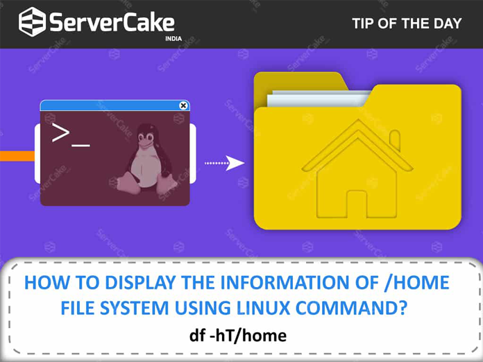 Display information of home file system using linux command