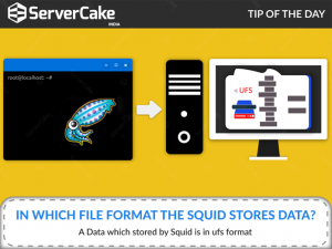 File format for Squid