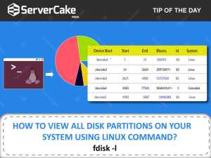 View all disk partitions using linux command