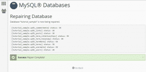 Now the Database will be repaired
