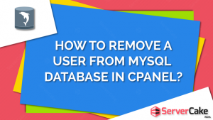 Remove User from MySQL