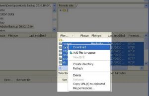 Right-click on file and click 'Download'