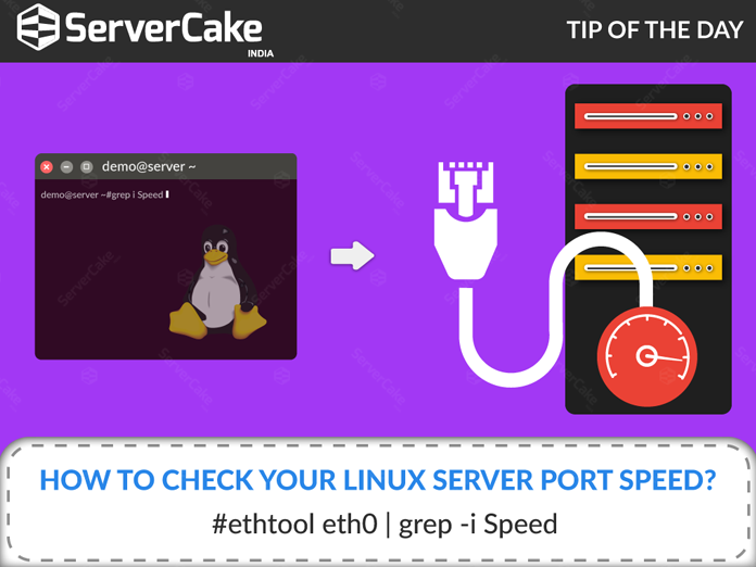 Linux server port speed