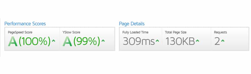 Speed up your site in 99m with our Fully Managed WordPress Hosting