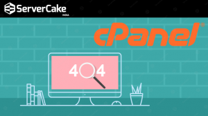 cPanel error page